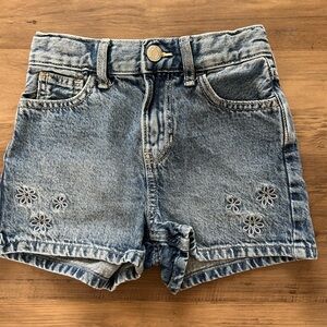 Embroidered Denim Shorts